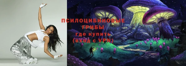 МДПВ Ельня