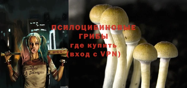 трава Заволжск