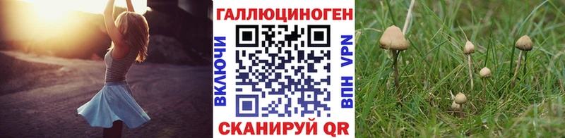 Галлюциногенные грибы Magic Shrooms  Купить закладки  Малоярославец 